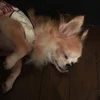 腹痛