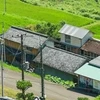 makino555