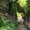 みけ