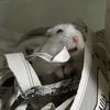 りん