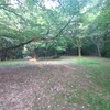 月夜野さとる