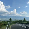 ミュータント
