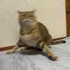たいよU