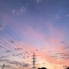 ぞ