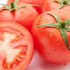 新鮮なトマト