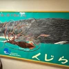 もちゃよしだ