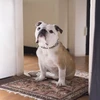 Marvin