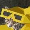 猫マニ