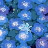 みゃ