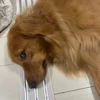 ルーシーちゃん
