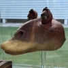 タスケンジェダイ