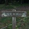 广
