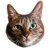 りん
