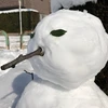 タケトリ
