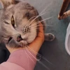 つち