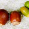 片頭痛持ち