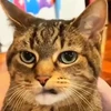kotaro_0