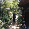 たわた