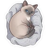 コミ