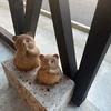 リ