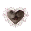 れもん