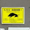 ちゃも