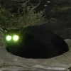 naruto_317