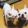 ヒロマサ