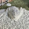 温厚なチワワ