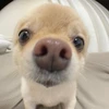ちみー