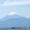 映画好き子ちゃーん