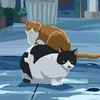 lagmaid