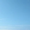 まい