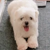 みる