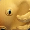 めんだこ