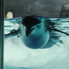 くぼ
