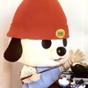 美しい鮨
