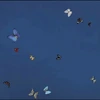 chaos