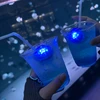 このみ