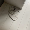ししお