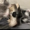 いち
