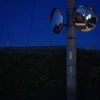 りん