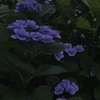リ