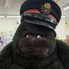 かば
