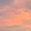 リコ