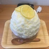 くまフィルム