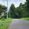 NepiaMIKI