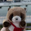 pontanu_fly