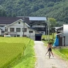 yamatoid7.