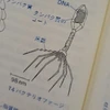 とらし